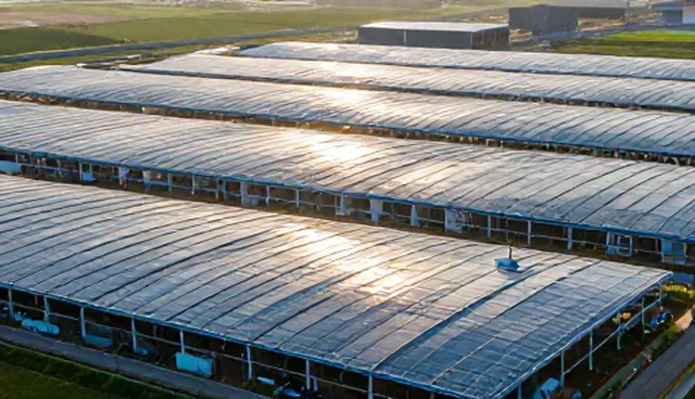 教学平台性能优化与适用场景解析