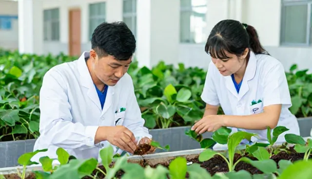 农产品收购两种做法比较：性能与适用条件