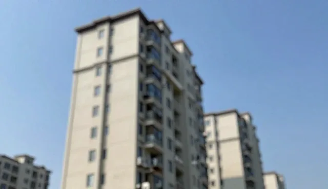地区商务代理服务适用条件与选择依据