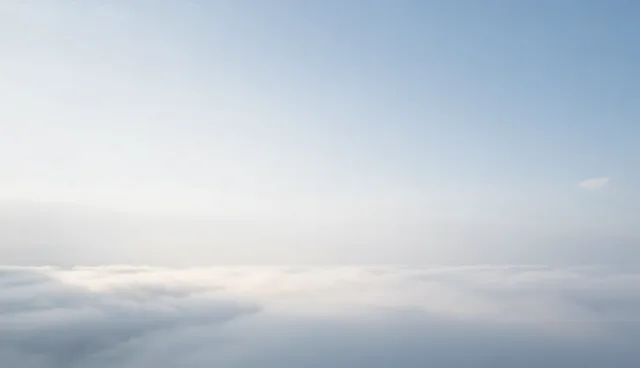 土壤管理中的误区：过度依赖单一技术是否有效？
