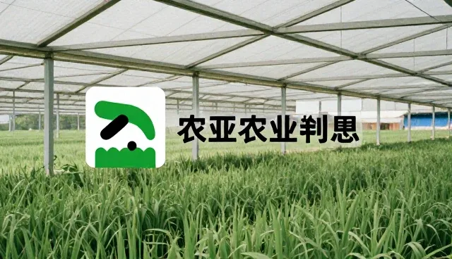 淮南网站建设：如何通过视觉设计与品牌策划提升内容分发效果
