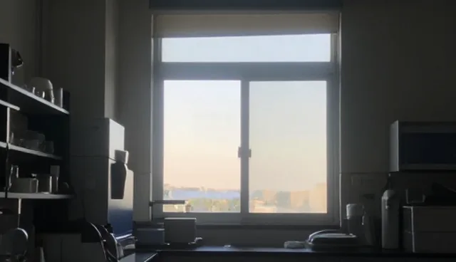 商务考察出行线路策划如何影响考察效果？