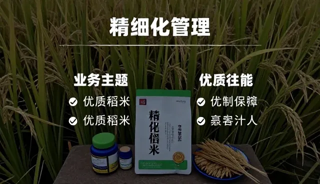 系统选型中的运维建议：关注可维护性与稳定性