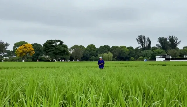 公众号运维成本如何随业务发展变化