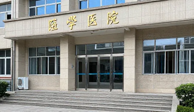 内容优化中，人工与AI写作如何权衡取舍