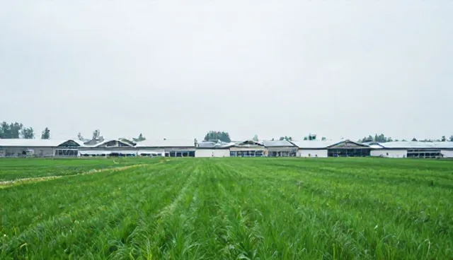 技术外包选型关注点，如何精准匹配业务需求