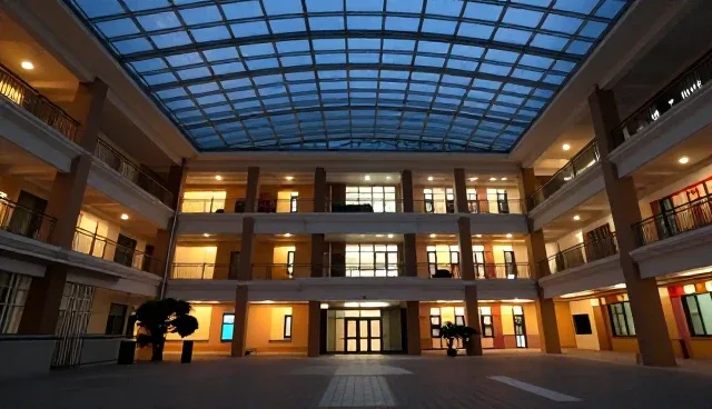 真正免费的网站建站平台：C2速成课程与VIP专属课程的结合实践