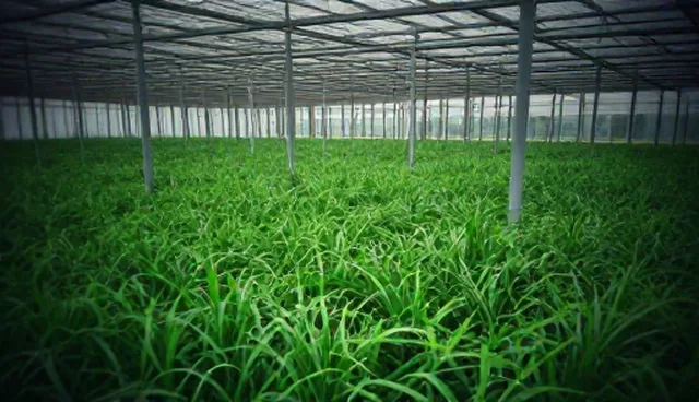 成果转化中的技术支持选型关注点与趋势分析