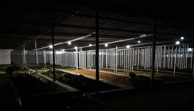 域名解析在网站维护中的实际应用场景分析