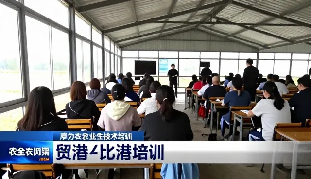 企业转型中的技术推广：性能与适用条件的平衡