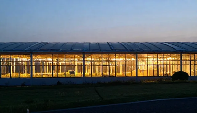 商务代理业务中品牌建设的两种做法及实际取舍