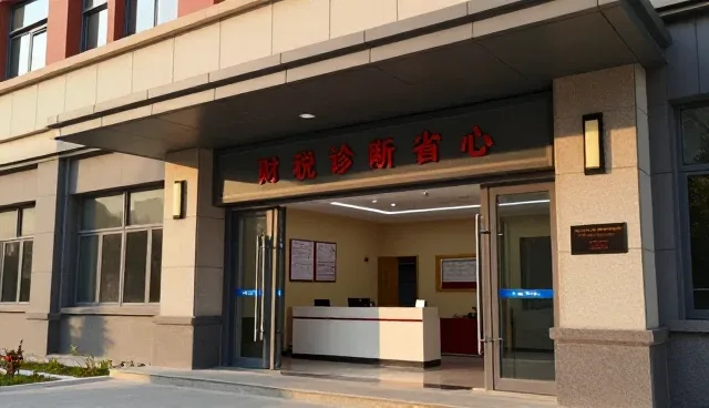 专业性驱动下的财税咨询场景应用实践