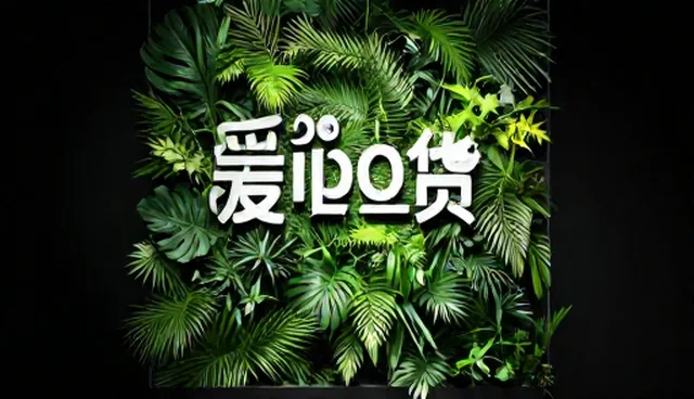 旧房改造服务适用情况与限制分析
