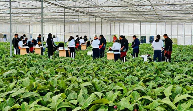 职业技能提升课程的使用与维护建议