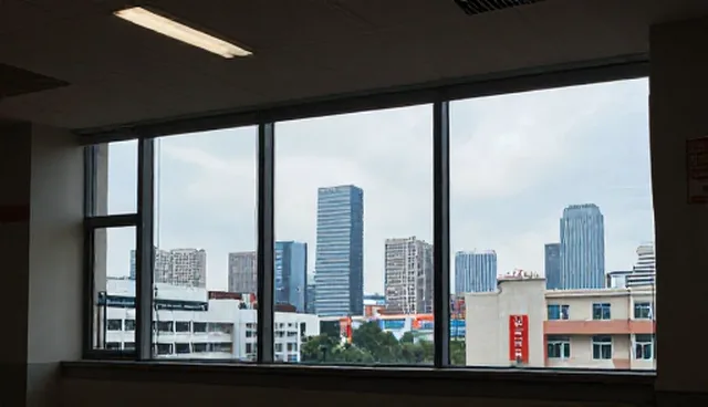 名录查询在企业合作中的实际应用问题