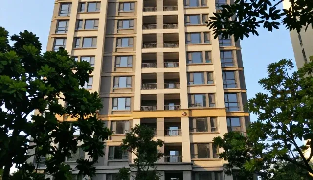 建设专业网站开发公司，如何通过设计优化与域名注册服务提升竞争力