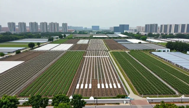 企业管理系统常见问题与流程优化建议
