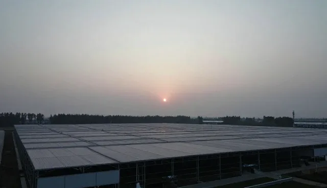 库存优化中的常见问题与实际应对策略分析