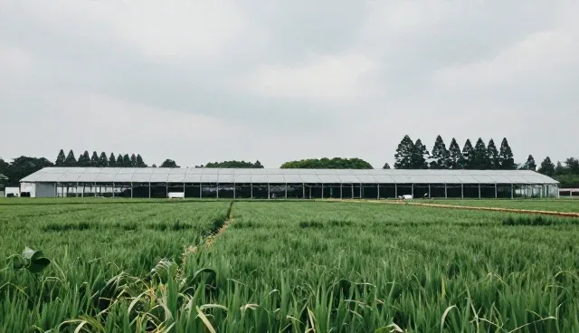 品牌活动执行中常见问题及应对策略