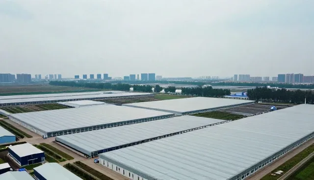 系统维护如何影响平台性能与适用场景