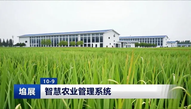 智慧农业管理系统如何提升农家乐经营效率
