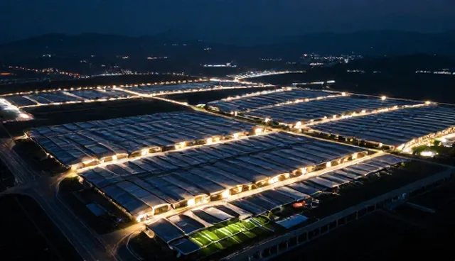 临床诊疗中医疗技术服务的性能限制与误区分析