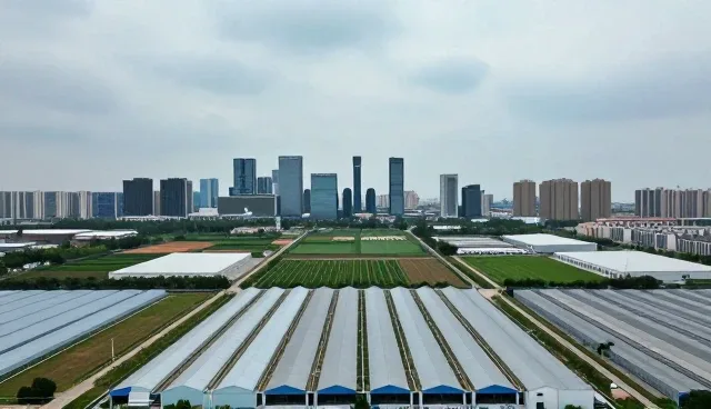 性能优化中运维托管的常见问题及处理方向