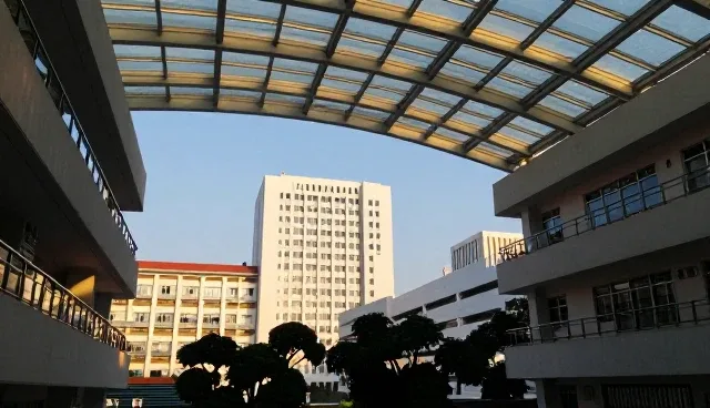 项目执行支持在企业管理咨询中的实际应用分析