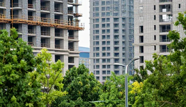 管理中常见心理疏导误区及正确理解方式