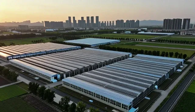 提升广告设计效率的实用性能优化技巧