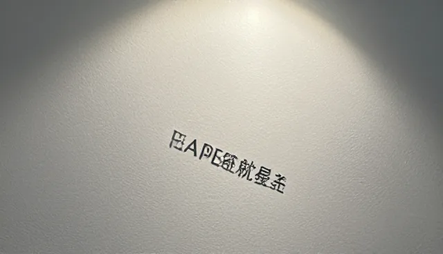 会务执行中的两种做法对比及其实际取舍