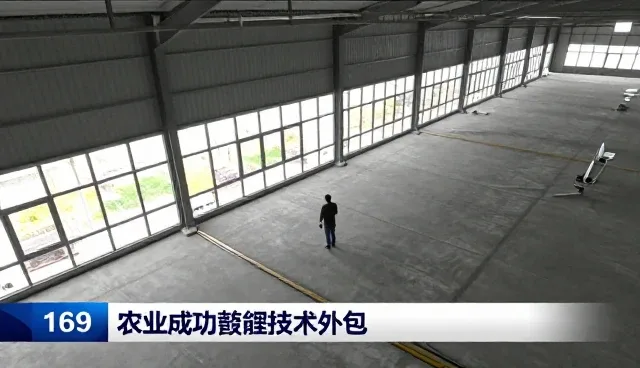 技术外包服务模式中的常见问题与应对策略