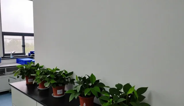 管网使用与维护的两种做法对比及实际取舍