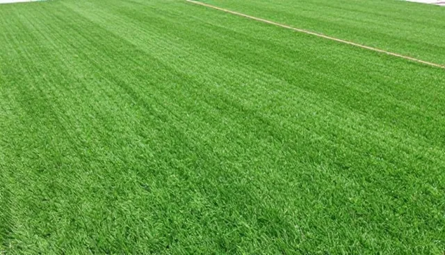 来料质量管理中的选型关注点与趋势洞察