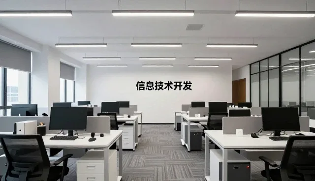 程序异常处理在定制化软件中的实际应用分析