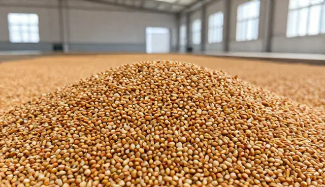 种植技术指导如何在实际应用中实现成本控制