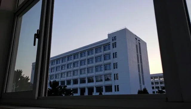 广告投放服务选型中的关键考量因素与应对策略