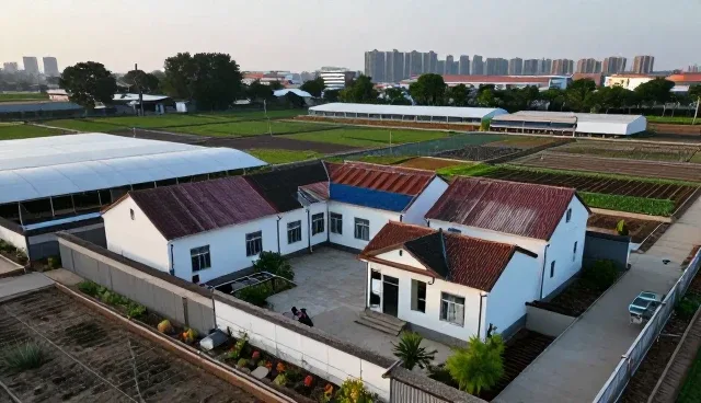 AI平台排名监控在内容策略中的关键应用场景分析