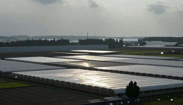 服务维护中渠道分销的检查要点与处理方法