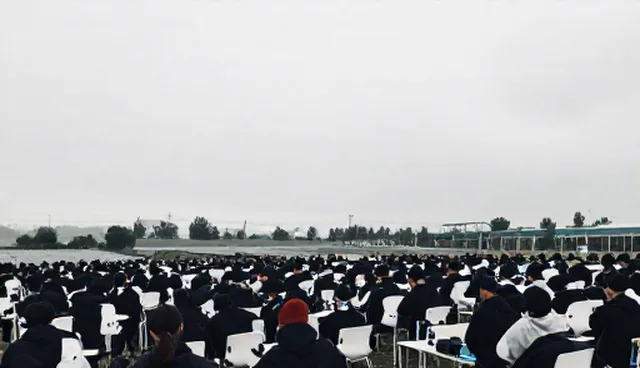需求反馈为何常被忽视，如何有效收集与处理