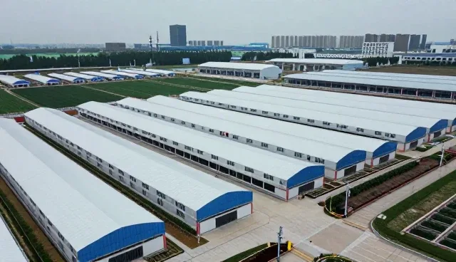 个性化教学如何影响教育培训选型决策