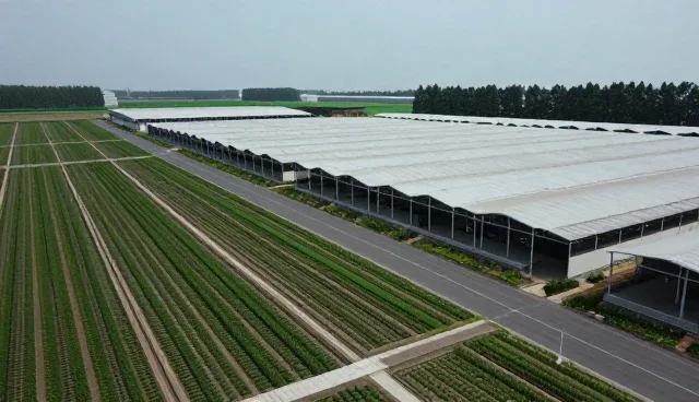 信息化建设如何保障业务稳定性