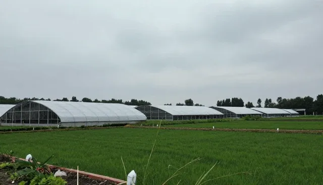 钣金喷漆质量对汽车救援服务效率的影响