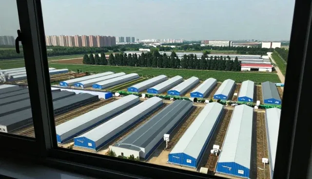 运维服务模式选型中的技术化方案关注点分析