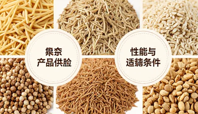 食材管理中的性能差异与适用条件分析