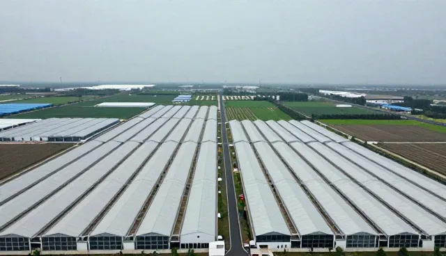 信息化方案在企业运营中的性能表现与适用场景分析
