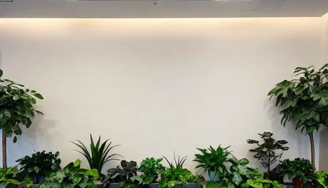 业务需求：技术型企业维护策略的应用场景分析