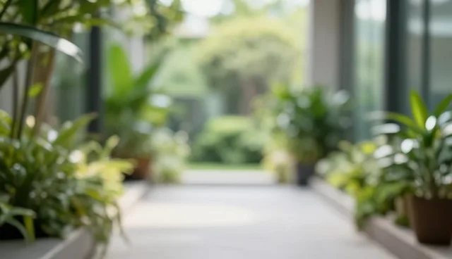 财税合规视角下的房屋托管服务性能分析