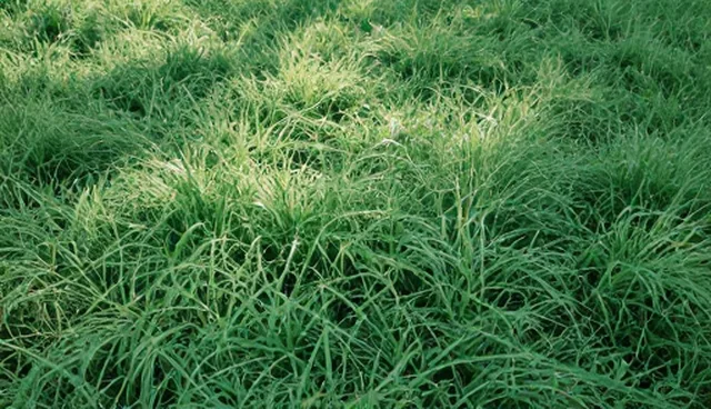 系统集成方案在实际应用中的性能表现与适用场景分析