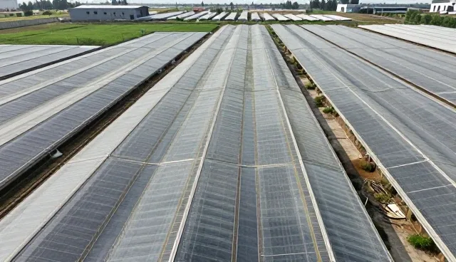 成都网站建设公司如何通过短视频运营实现成本控制